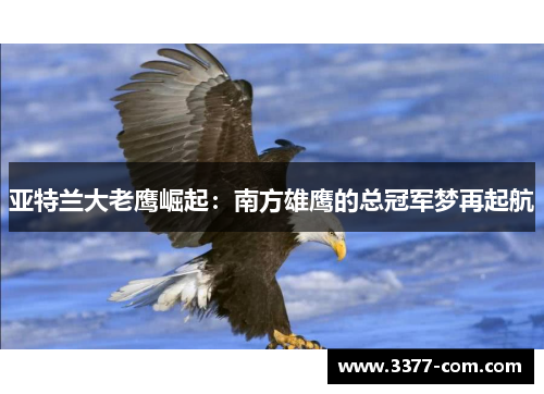 亚特兰大老鹰崛起：南方雄鹰的总冠军梦再起航