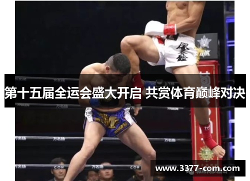 第十五届全运会盛大开启 共赏体育巅峰对决